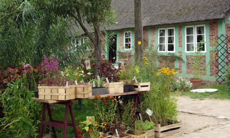 Blütenzauber am Kiekeberg: Pflanzenmarkt mit 90 Ausstellenden 3 Blütenzauber am Kiekeberg: Pflanzenmarkt mit 90 Ausstellenden