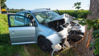 Autofahrer stirbt bei Kollision mit Baum