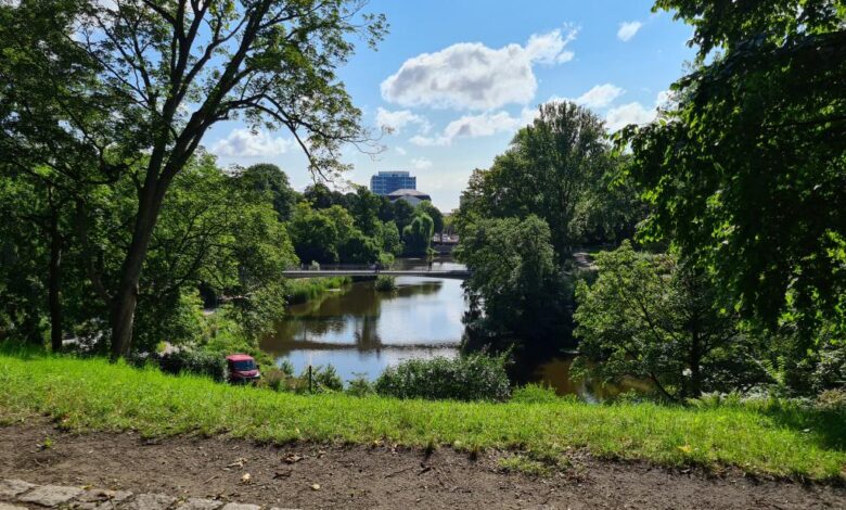 Hamburgs Perle liegt trocken: Linksfraktion fordert Sofortmittel für Planten un Blomen 7 Hamburgs Perle liegt trocken: Linksfraktion fordert Sofortmittel für Planten un Blomen