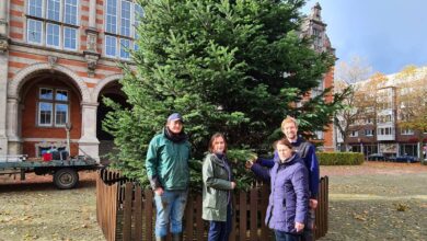 "Er steht!" - Vorbereitungen für den Harburger Weihnachtsmarkt laufen an