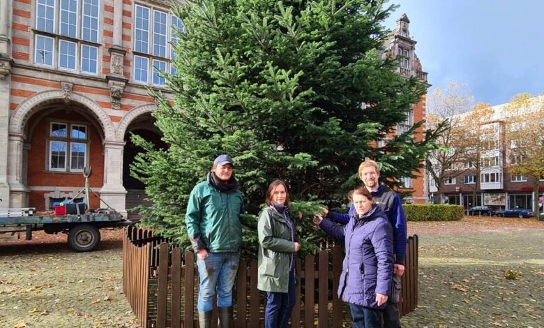 "Er steht!" - Vorbereitungen für den Harburger Weihnachtsmarkt laufen an
