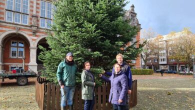 Harburgs Weihnachtsmarkt öffnet seine Pforten