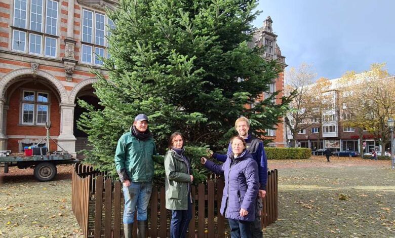Harburgs Weihnachtsmarkt öffnet seine Pforten
