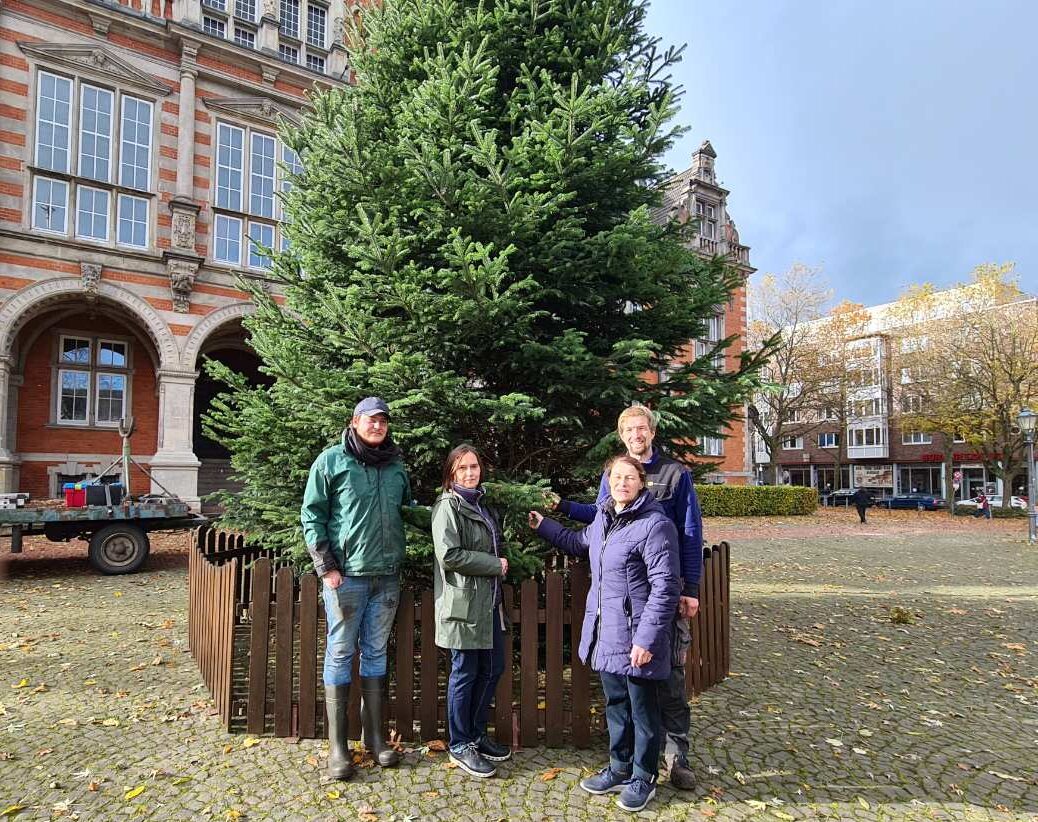 Harburgs Weihnachtsmarkt öffnet seine Pforten