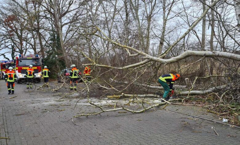 Feuerwehr Seevetal rückte zu zwei witterungsbedingten Einsätzen aus