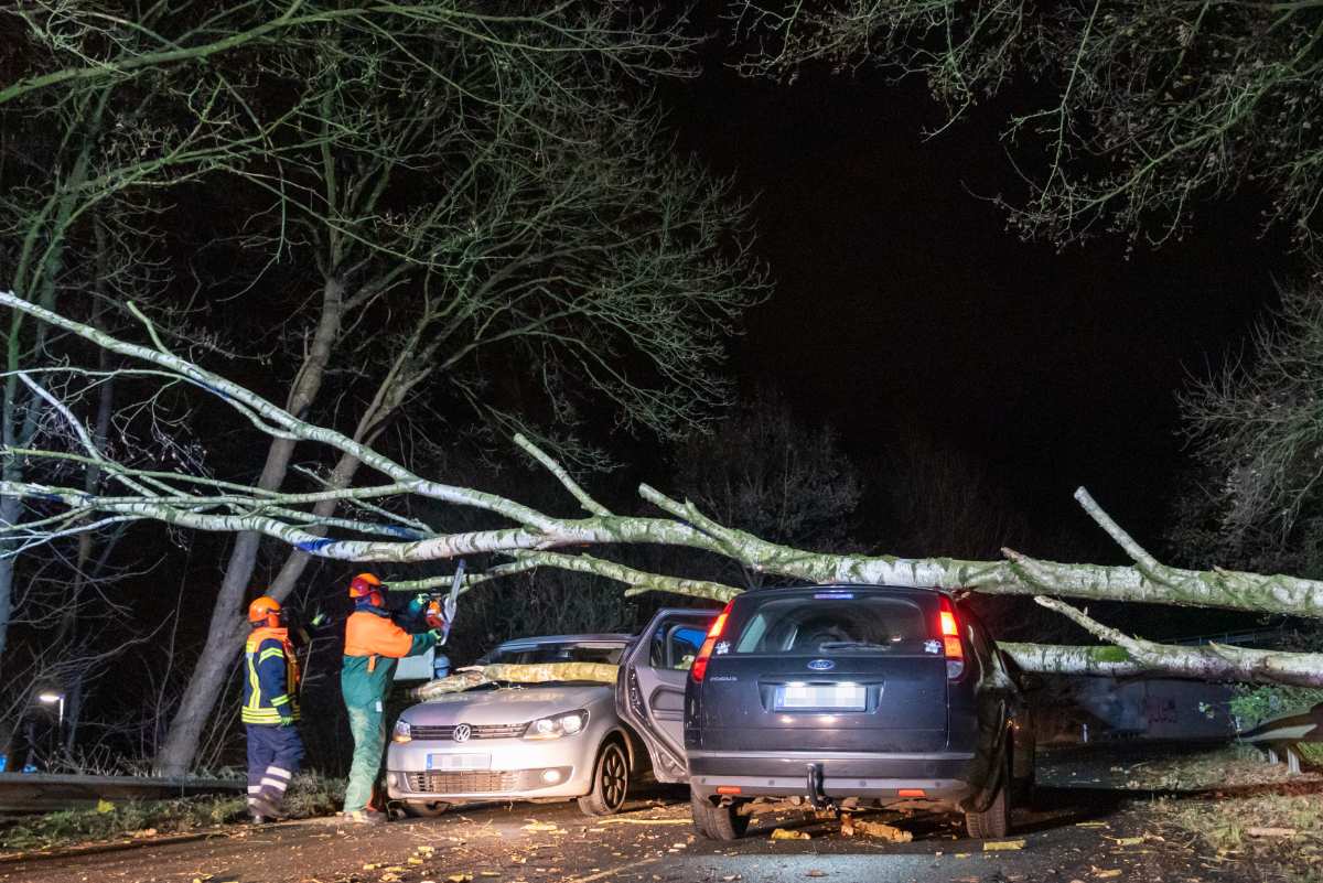 Baum stürzt auf zwei fahrende Autos