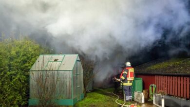 Werkstatt-Schuppen wird durch Feuer zerstört