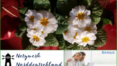 Rückblenden vom NEU WULMSTORFER SALON: Unser Frühjahrs-Talk 2017 mit mehr als 13.000 Zuschauern - live via Facebook! 9 Rückblenden vom NEU WULMSTORFER SALON: Unser Frühjahrs-Talk 2017 mit mehr als 13.000 Zuschauern - live via Facebook!