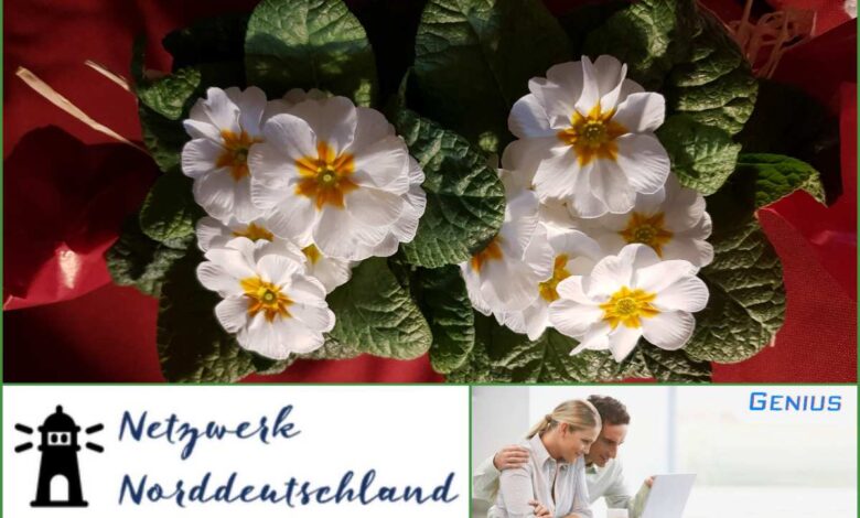 Rückblenden vom NEU WULMSTORFER SALON: Unser Frühjahrs-Talk 2017 mit mehr als 13.000 Zuschauern - live via Facebook!