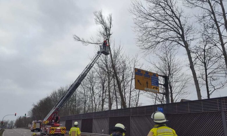 Zahlreiche Einsätze für die Feuerwehr Seevetal bis in die Mittagsstunden