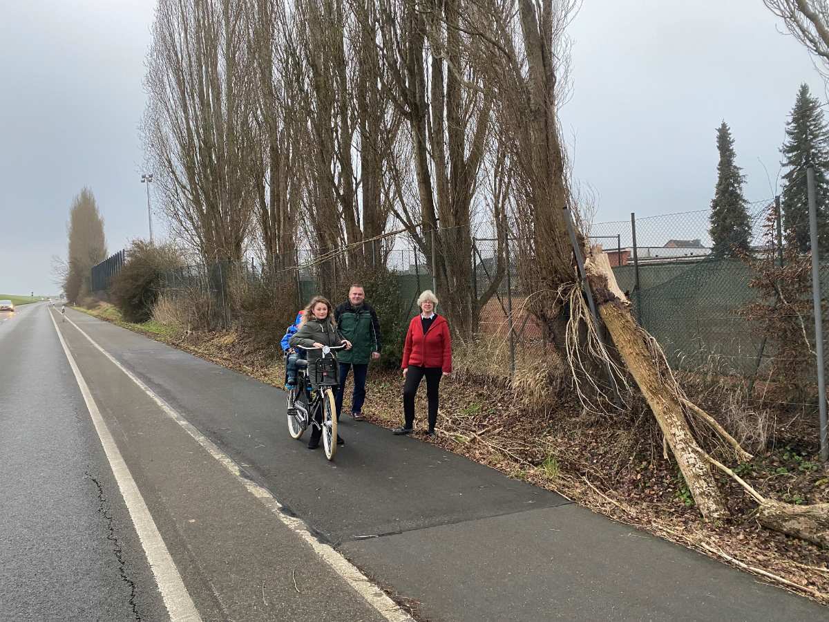 Over: Pappeln am Sportplatz müssen gefällt werden 1 Over: Pappeln am Sportplatz müssen gefällt werden