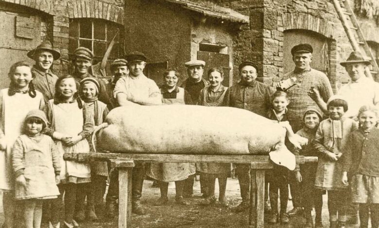 „Vom Schwein zur Wurst – damals und heute“