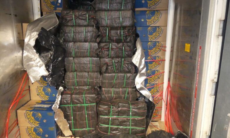 Zoll stellt 2,6 Tonnen Kokain sicher - Container sollte mit Bananen aus Ecuador beladen sein