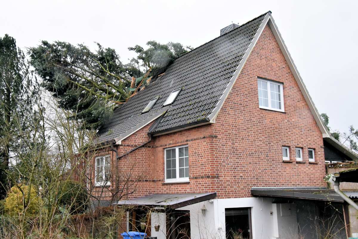 Mehr als 500 Einsätze der Feuerwehr im Landkreis Harburg 1 Mehr als 500 Einsätze der Feuerwehr im Landkreis Harburg