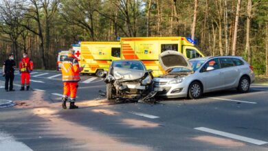 4 Personen und 1 Hund bei Unfall verletzt