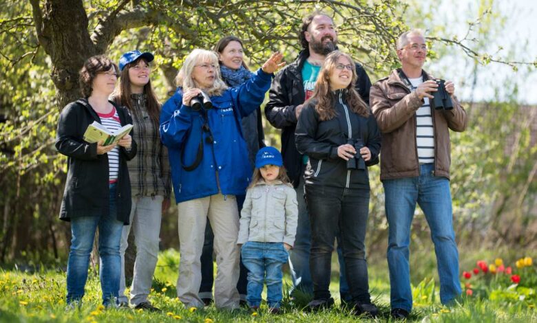 Was singt denn da? – Die Vogelwelt im Süden Hamburgs erleben