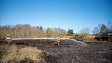 Privates Osterfeuer gerät außer Kontrolle