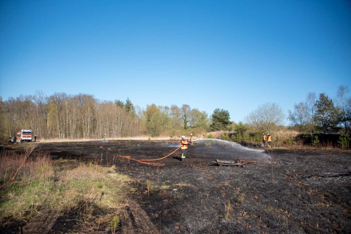 Privates Osterfeuer gerät außer Kontrolle
