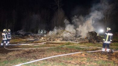 Unbekannte zünden 300 qm großen Holzhaufen an