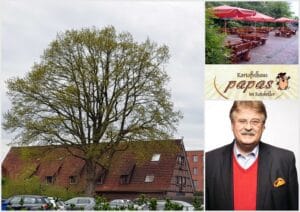 Frühlingsstimmung in Neu Wulmstorf, Open-Air-Mittagstisch im Kartoffelhaus papas und ein (Rück)blick von außen auf den Krieg in der Ukraine ...