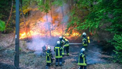 Güterzug entfacht mehrere Böschungsbrände