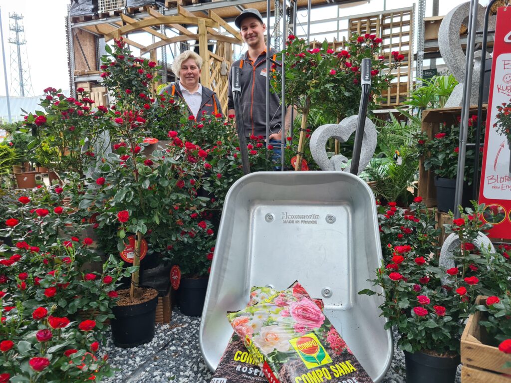 30% Rabatt auf alle Rosenpflanzen 3 30% Rabatt auf alle Rosenpflanzen