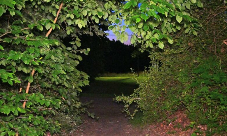Mann zieht Frau in Langenbek ins Gebüsch