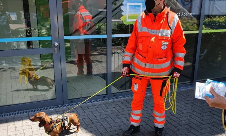 Vermisste Seniorin bei Suchaktion lebend aufgefunden
