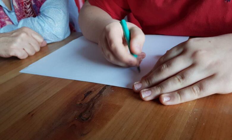 Schulbegleitung macht Schule