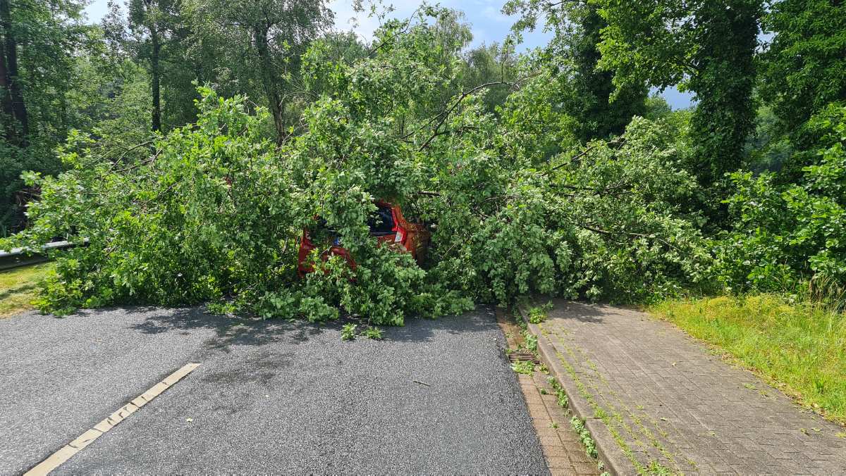 Baum fällt auf Straße und beschädigt Fahrzeug 1 Baum fällt auf Straße und beschädigt Fahrzeug