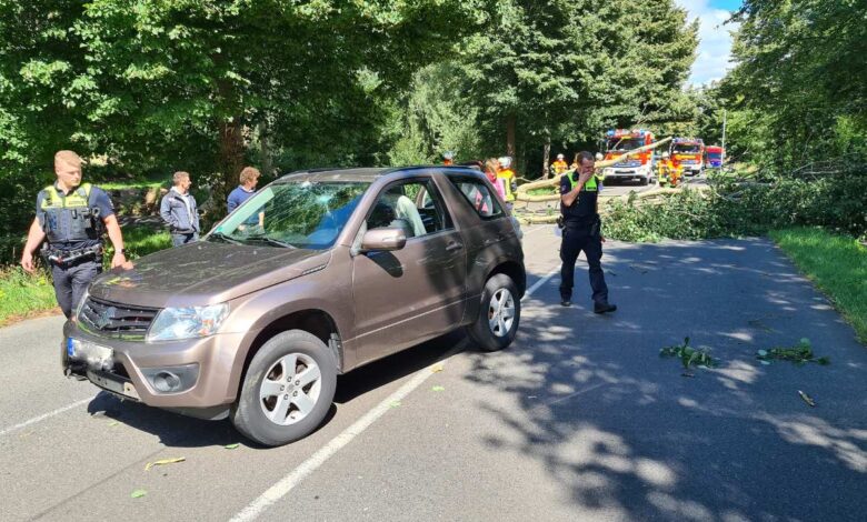 Baum stürzt auf fahrenden PKW - Keine Verletzungen