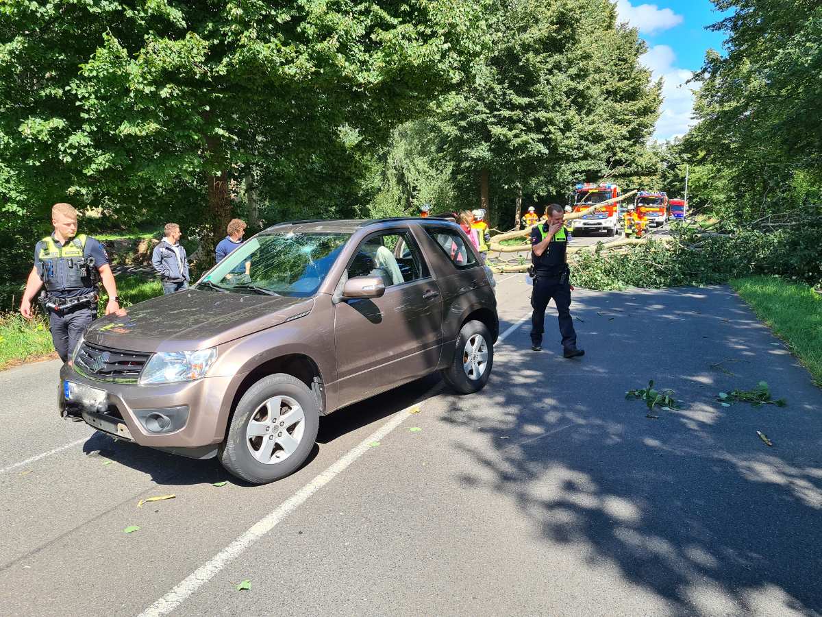 Baum stürzt auf fahrenden PKW - Keine Verletzungen