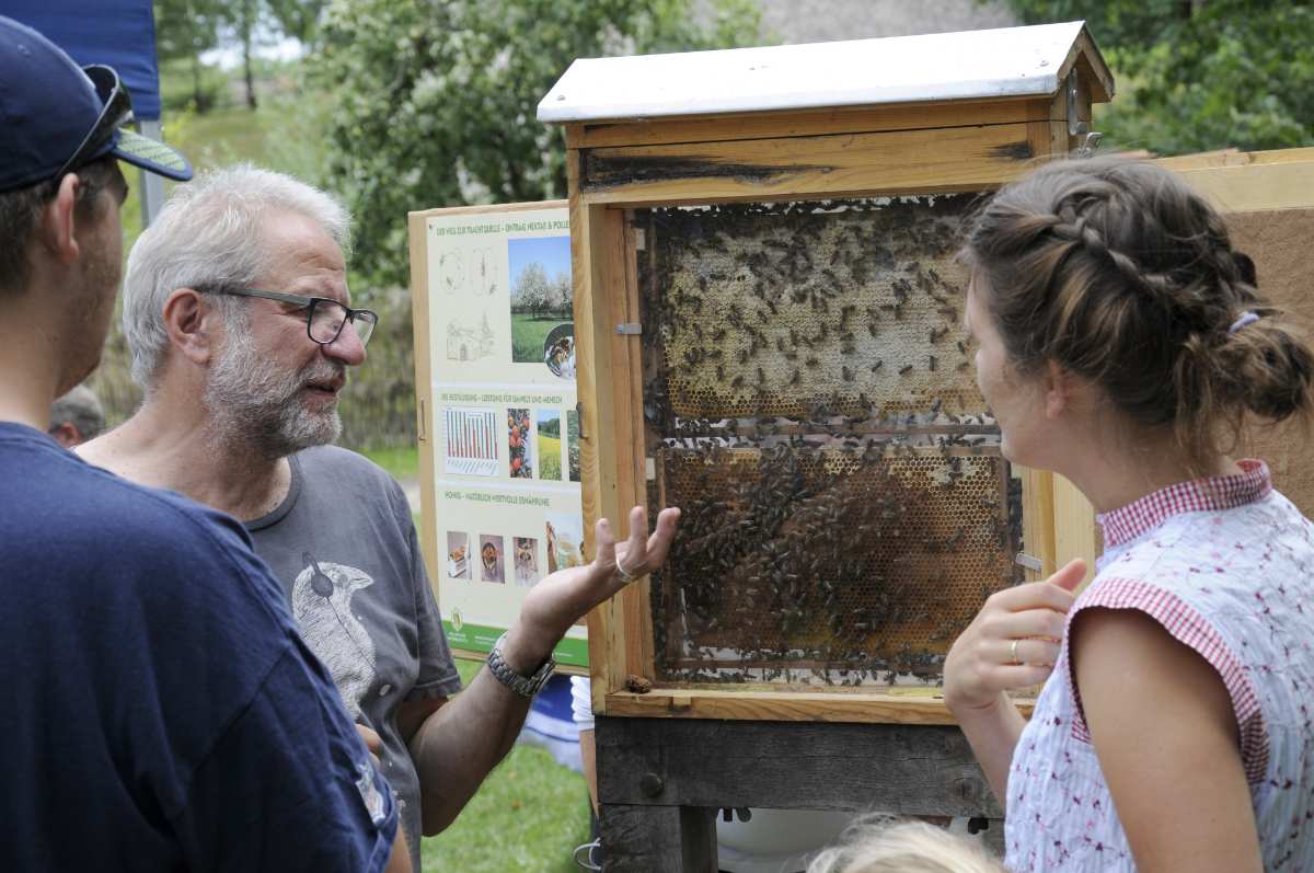 Wissenswertes über Bienen, Honig und die Heide beim „Imkertag“ am Kiekeberg