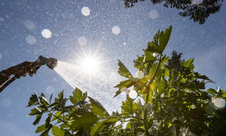 Hamburg warnt vor Sommerhitze in den kommenden Tagen