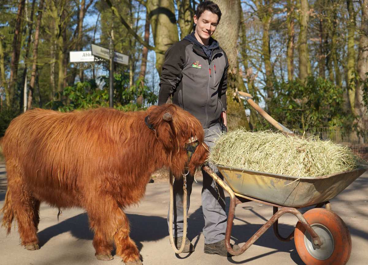 Sommerspaß im Wildpark Schwarze Berge