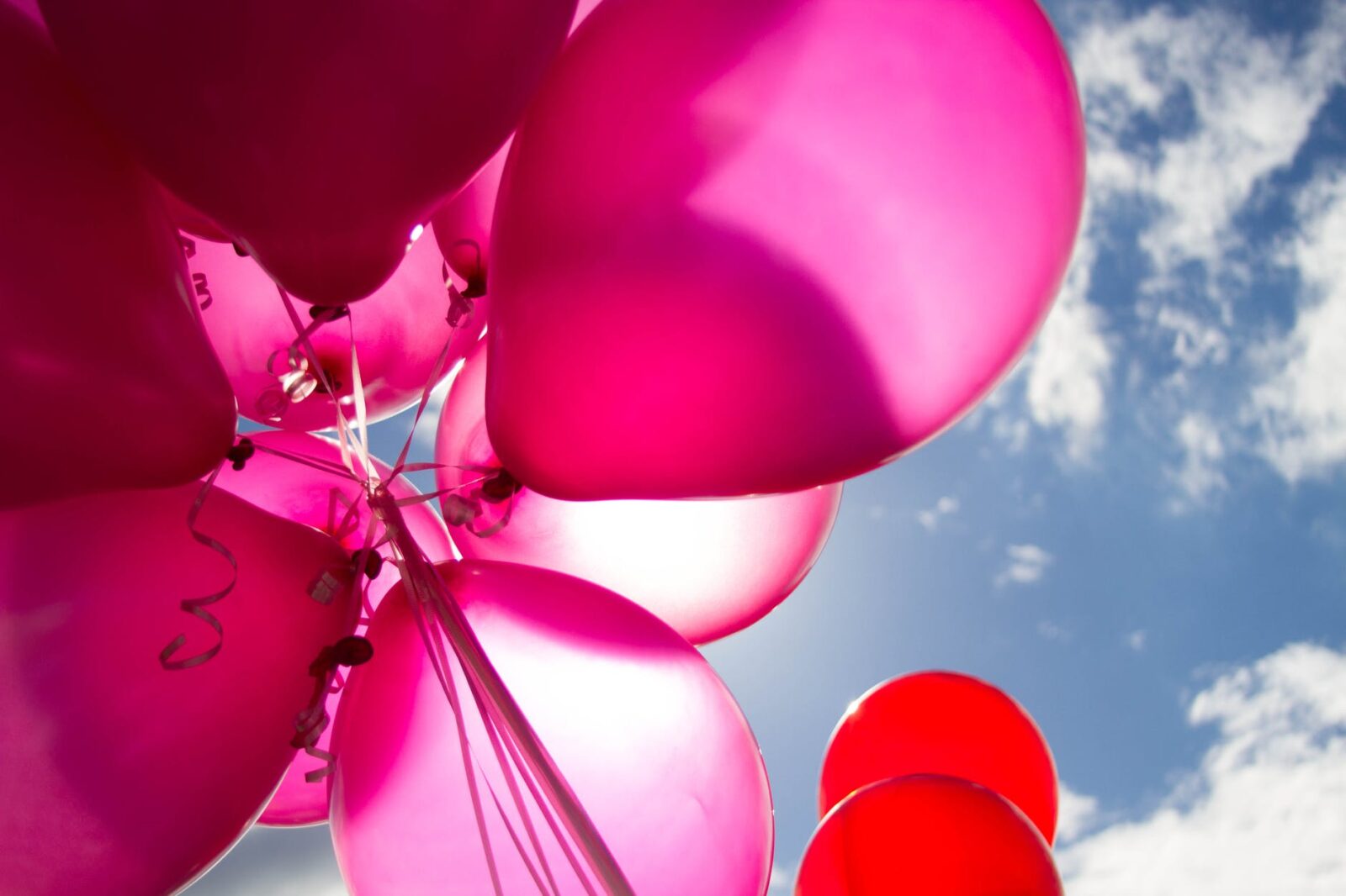 200.000 Besucher beim CSD in der Hamburger Innenstadt erwartet 1 low angle shot of pink and red balloons