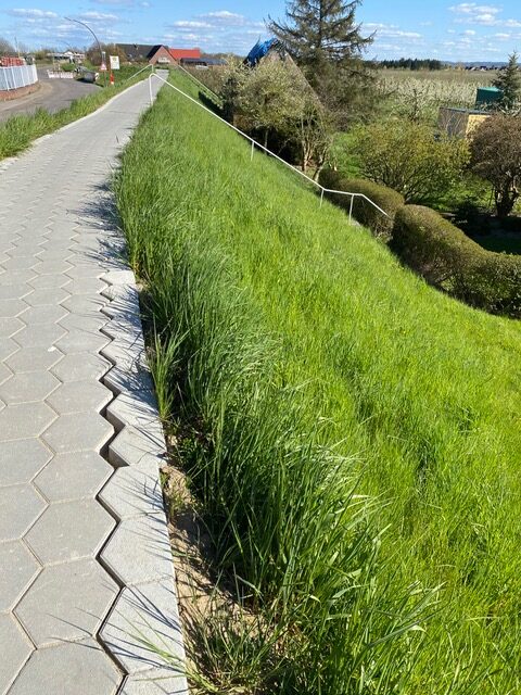 Deichweg am Neuenfelder Fährweg nach kurzer Zeit wieder baufällig 2 Deichweg am Neuenfelder Fährweg nach kurzer Zeit wieder baufällig