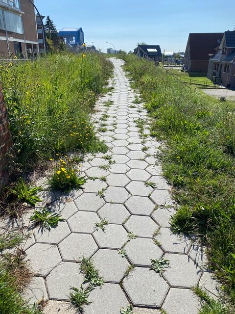 Deichweg am Neuenfelder Fährweg nach kurzer Zeit wieder baufällig 3 Deichweg am Neuenfelder Fährweg nach kurzer Zeit wieder baufällig
