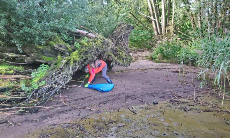 NABU-Gruppe Hamburg-Süd: Reinigungsaktion im Rahmen des "Coastal Cleanup Day"