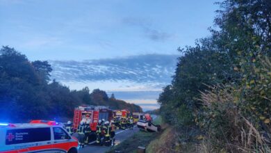 Autofahrer verunfallt nach medizinischem Notfall
