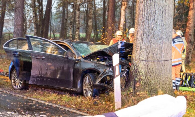 Autofahrer stirbt bei Verkehrsunfall