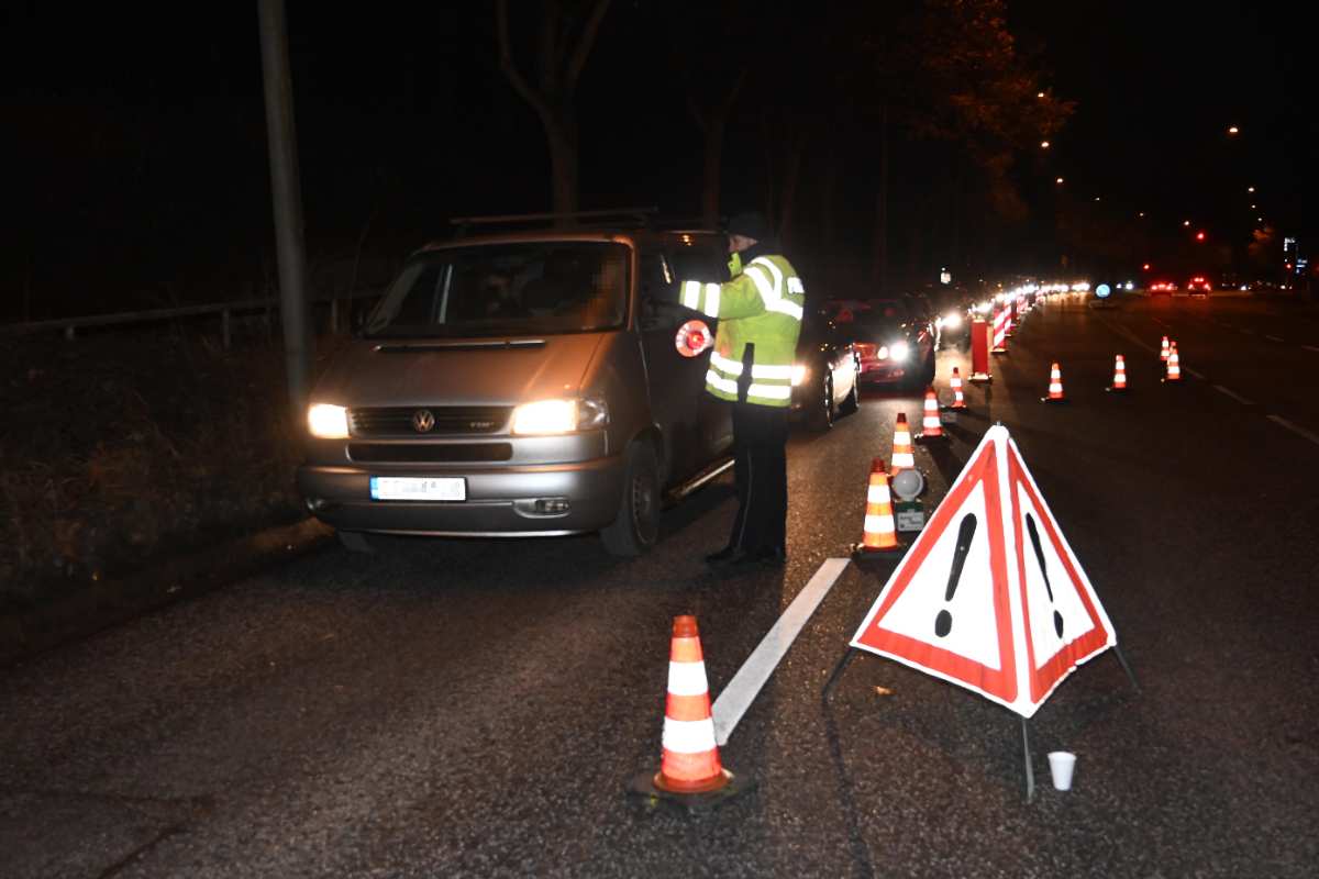 Dicke Fische gingen der Polizei bei einer Großkontrolle in Hausbruch ins Netz