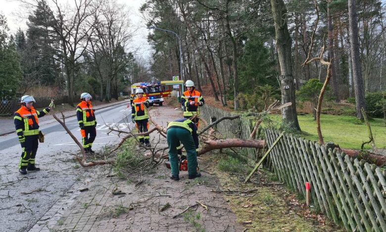 Einsatzkräfte räumen Baum von der Straße.