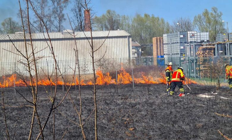 Flächenbrand