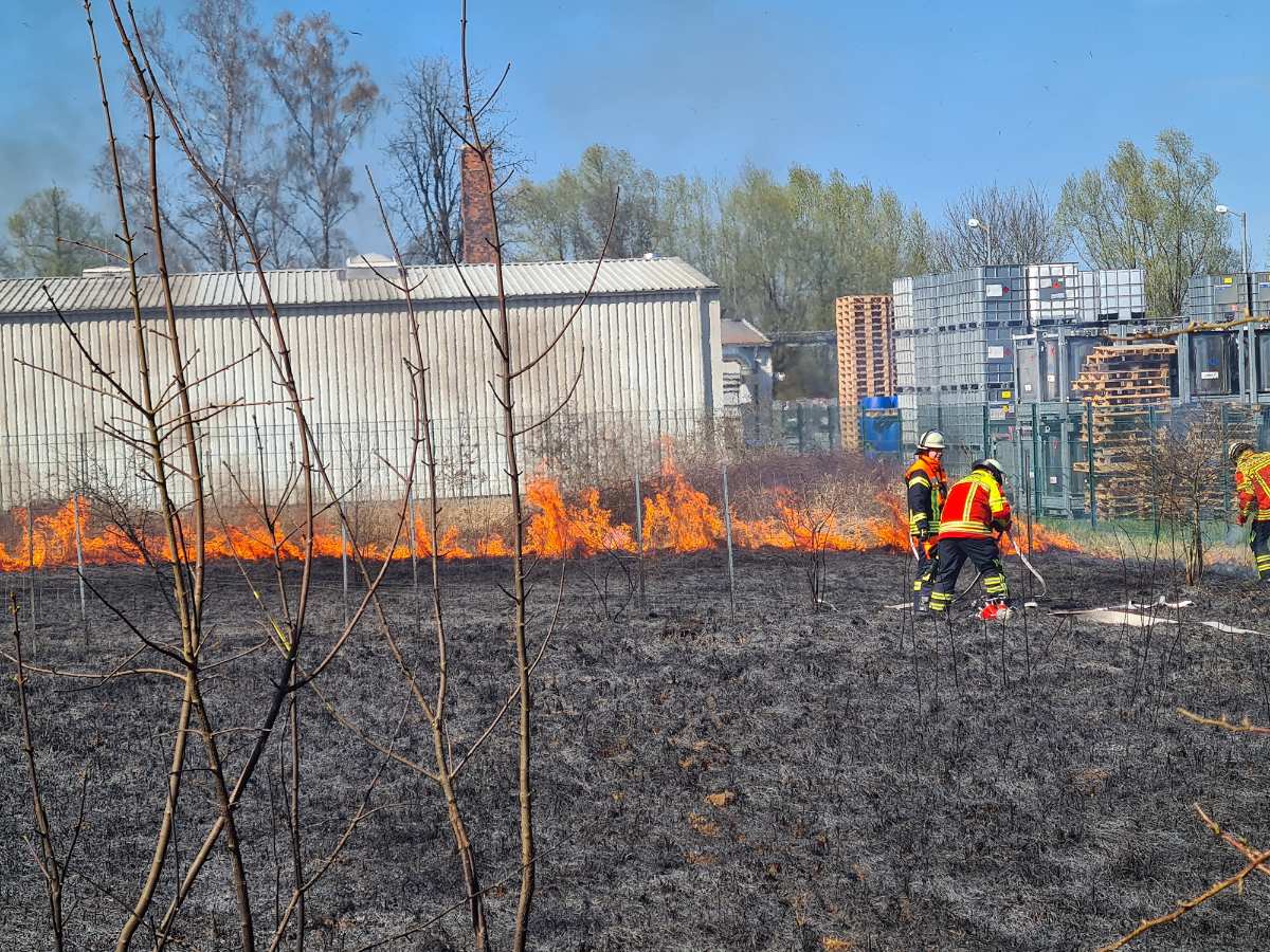 Flächenbrand
