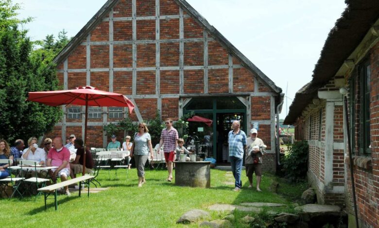 Bio-Jungpflanzen, Kulinarisches und Kunsthandwerk beim Pfingstmarkt des Museumsbauernhofes Wennerstorf