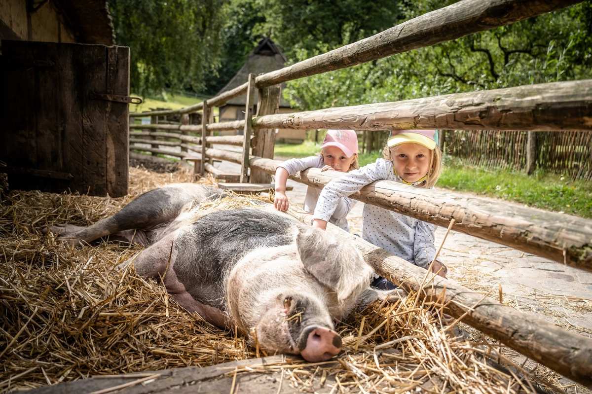 „Sommerspaß“ für Kinder beim offenen Ferienprogramm im Freilichtmuseum am Kiekeberg