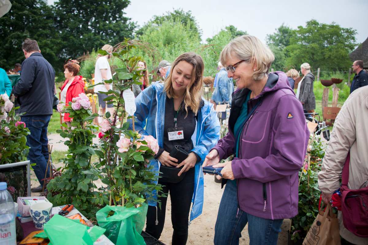 800 Rosensorten und Dekoratives beim Rosenmarkt im Freilichtmuseum am Kiekeberg