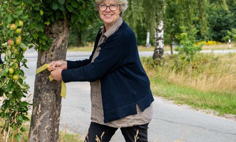 Obst frisch vom Baum: Aktion "Gelbes Band" startet in Seevetal bereits in die vierte Runde