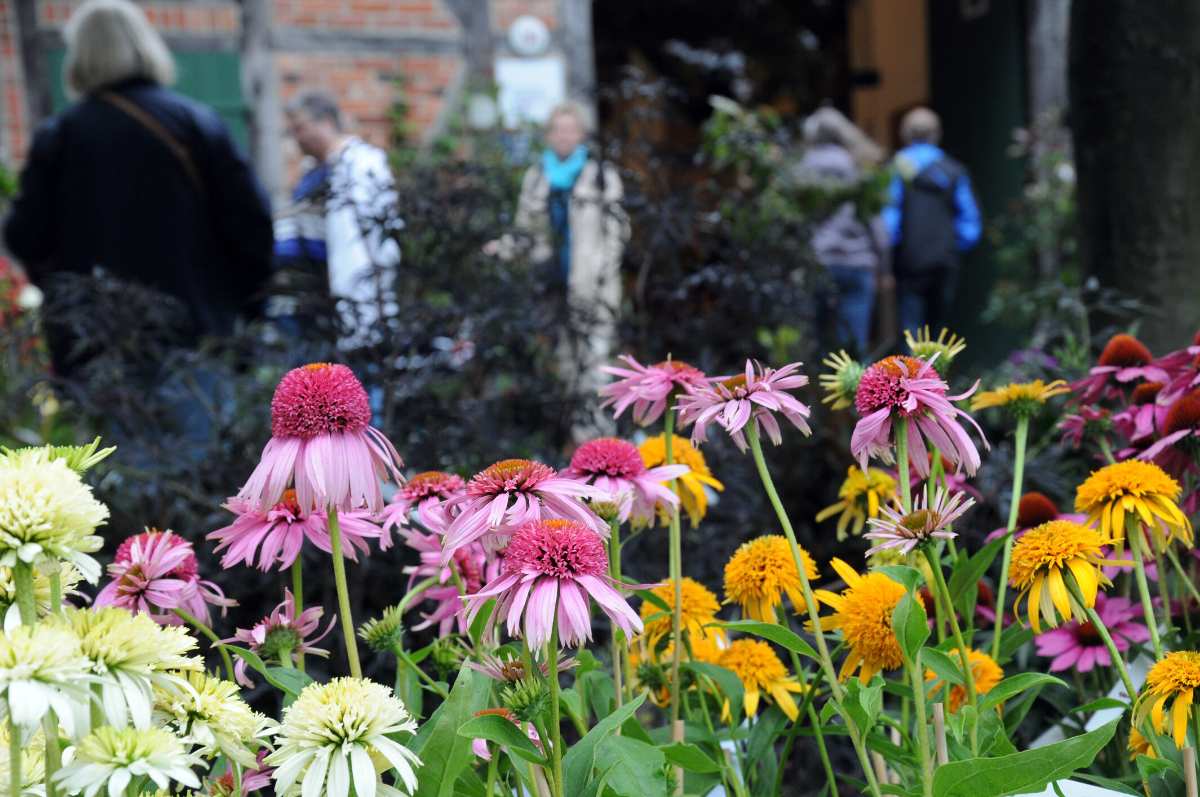 Blütenzauber am Kiekeberg: Pflanzenmarkt mit rund 100 Ausstellenden